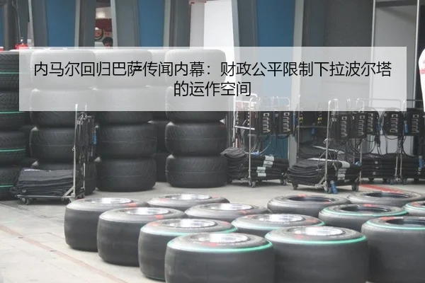 nei-ma-er-hui-gui-ba-sa-chuan-wen-nei-mu-cai-zheng-gong-ping-xian-zhi-xia-la-bo-er-ta-de-yun-zuo-kong-jian-2-120.jpg